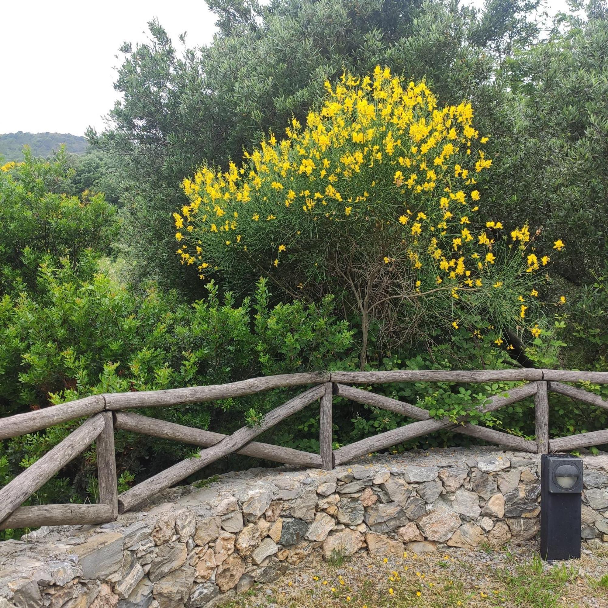 Il Giardino Sull'Isola - Appartamento - แบร์เจจจี ภายนอก รูปภาพ